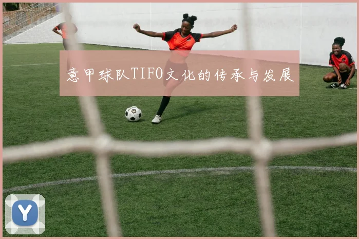 意甲球队TIFO文化的传承与发展
