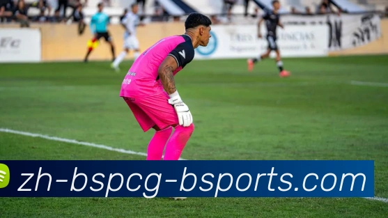 B体育APP 体育赛事宣传图